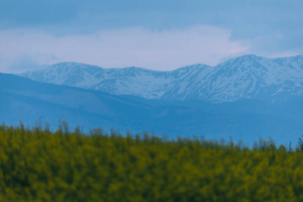 Mongolian grassland with snow capped mountains in the background
