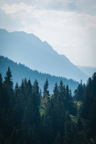 istock Elevated view of forest, valley and mountains 1456075541