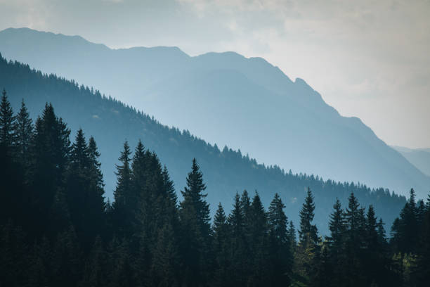 istock Elevated view of forest, valley and mountains 1456075586