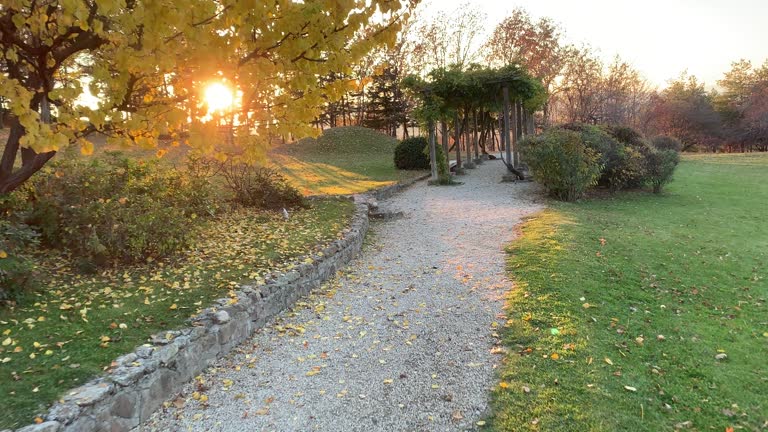 Autumn landscape in the forest, Japan garden, Kirsehir city, Turkey