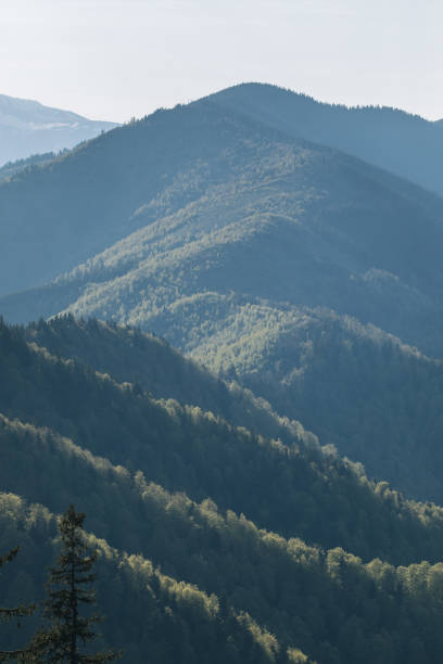 istock Elevated view of forest, valley and mountains 1456076837