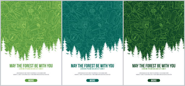 kuvapankkikuvitukset aiheesta retkeilyvarusteiden tausta. matkavarusteet, asusteet, vaatteet jne. - metsä