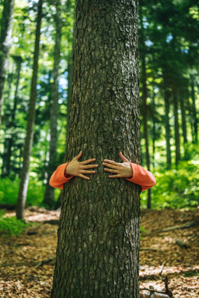 istock Young woman hugs tree in forest 1456077975