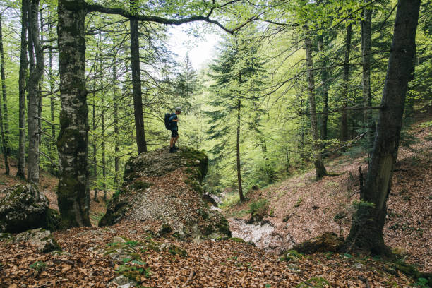 istock Photographer stands on hill in forest 1456078878