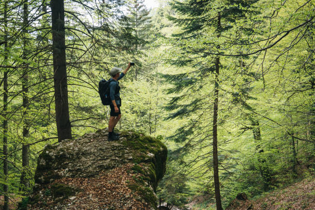 istock Photographer stands on hill in forest 1456078901