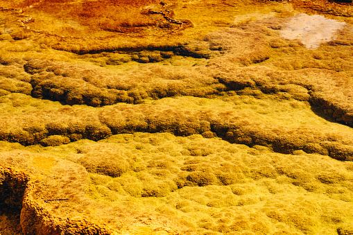 Vibrant geyser