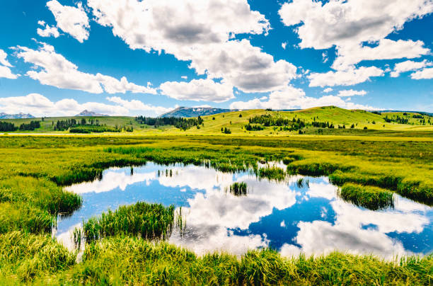 Yellowstone River in Hayden Valley at Yellowstone National Park, Wyoming