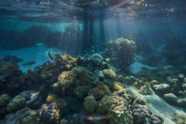 Clear, blue water