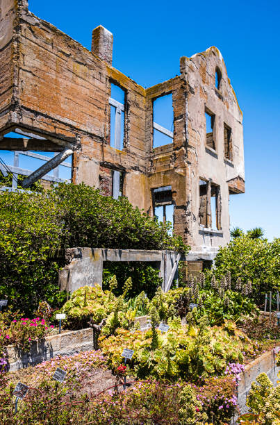 istock Ruins and Gardens of Alcatraz 1456080396