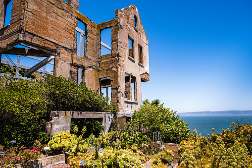 View of ruins of a building with gardens in the foreground.