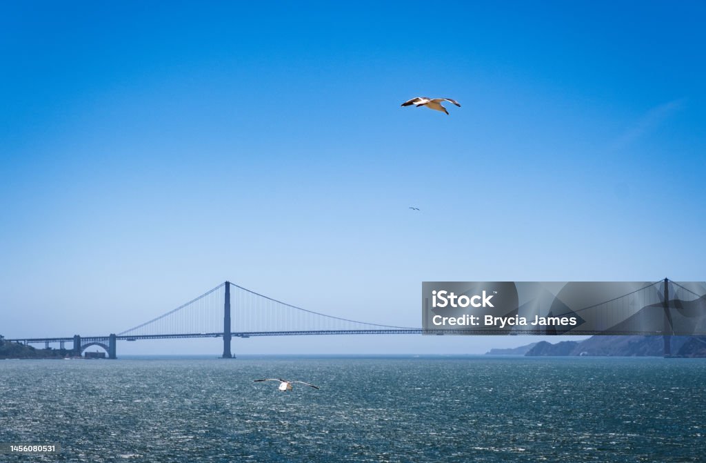 Golden Gate Bridge Viewed from Alcatraz A view of the Golden Gate Bridge from Alcatraz Island. Alcatraz Island Stock Photo