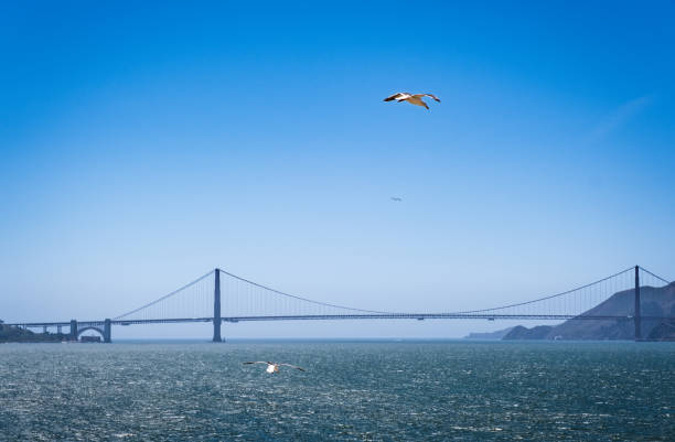 Golden Gate Bridge Viewed from Alcatraz stock photo