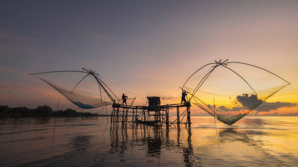 Sunrise at Klong pak pra with Traditional Fishing Trap in Phatthalung,Thailand. Sunrise at Klong pak pra with Traditional Fishing Trap in Phatthalung,Thailand.   The traditional fishing trap made from bamboo and net the fishermen they use for catching fishes in the lake. phatthalung province stock pictures, royalty-free photos & images