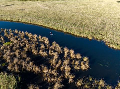 Aerial shot of a Woman paddleboarding on a River in Summer. Serpentine river in the Wilderness along the Garden Route in the Western Cape. Things to do along the Garden route in South Africa