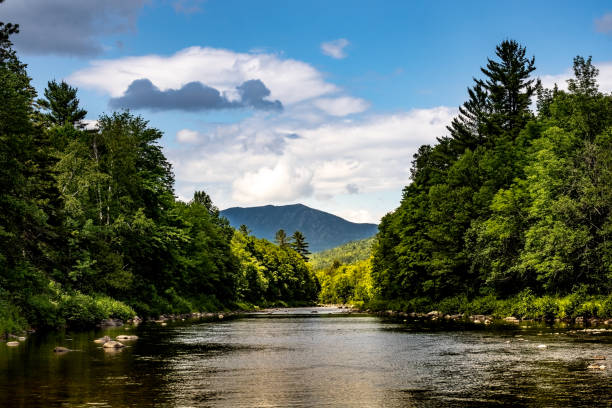 Carrabassett River A view of the Carrabassett River located in Western Maine during the summer. carrabassett stock pictures, royalty-free photos & images