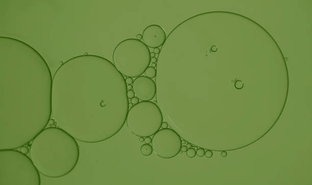 istock Oil and water droplets bubbles 1456091617