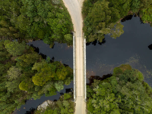 Aerial view of a bridge Aerial view of a bridge crossing a river in a lush forest. Old bridges along the 7 passes route on the Garden Route in South Africa. george south africa stock pictures, royalty-free photos & images