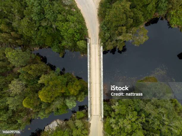 Aerial View Of A Bridge Stock Photo - Download Image Now - South Africa, Tree, Bridge - Built Structure