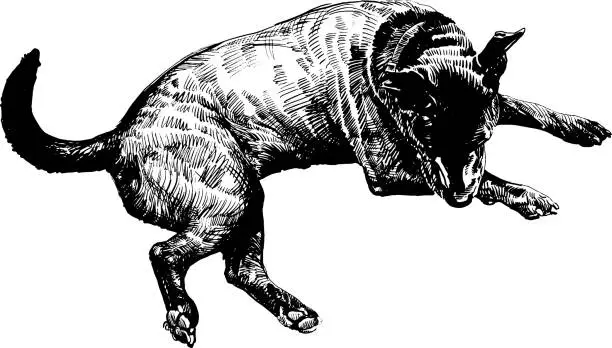 Vector illustration of dog 4