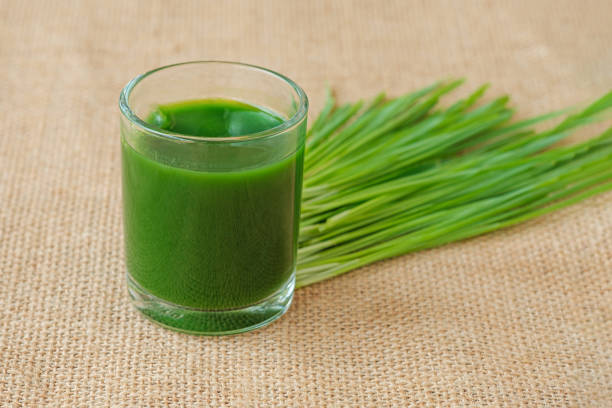 istock Healthy Organic Bio Wheatgrass. 1456092491