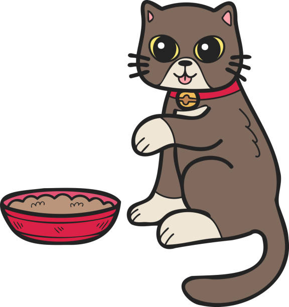 ilustrações, clipart, desenhos animados e ícones de gato desenhado à mão comendo ilustração de comida no estilo doodle - domestic cat indoors domestic life image