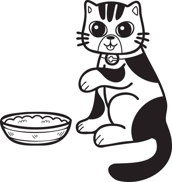 ilustrações, clipart, desenhos animados e ícones de gato listrado desenhado à mão comendo ilustração de comida no estilo doodle - domestic cat indoors domestic life image