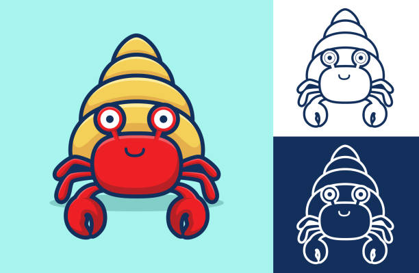 Funny hermit crab smiling. Vector icon illustration This illustration suitable for your business purpose or personal use. The illustration is vector-based. They are fully editable and scalable without losing resolution hermit crab stock illustrations