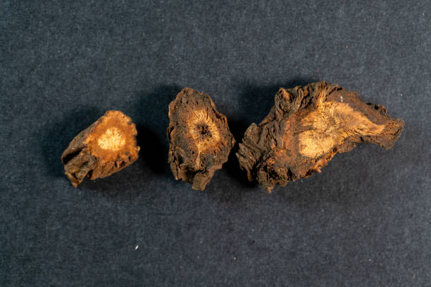 istock chinese medicine notopterygium root on black background 1456096190