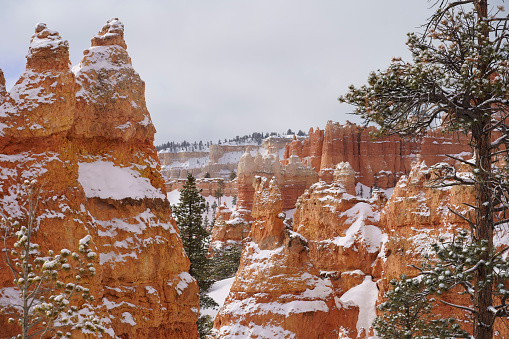 Bryce Canyon National park  in Winter