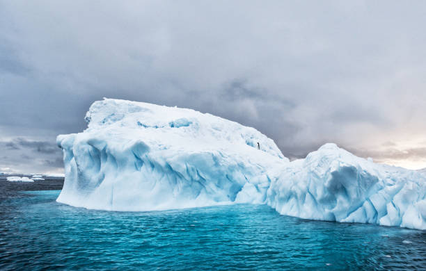istock Beautiful South Pole.Antarctica  pictures 1456104276