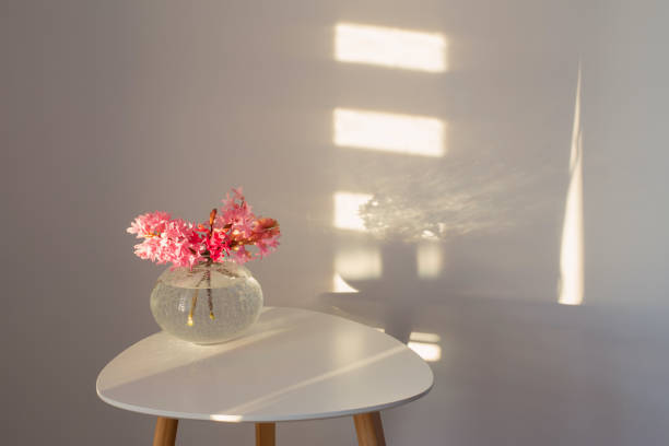 istock spring flowers in glass vase on background white wall in sunlight 1456108400