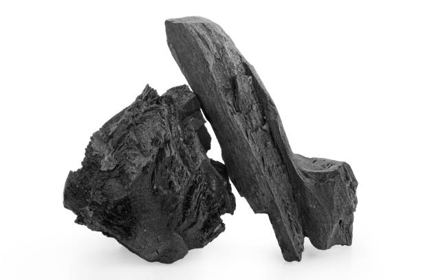 черный уголь изолирован на белом фоне - stick wood isolated tree стоковые фото и изображения