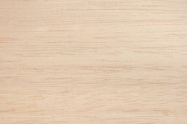 istock Plywood texture background, wooden surface in natural pattern for design art work. 1456109532
