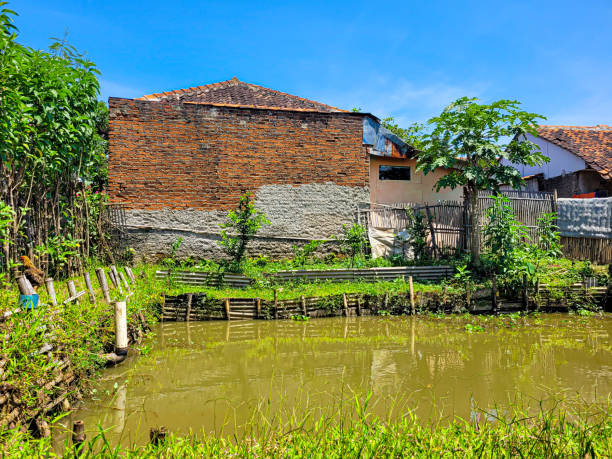 istock freshwater fish fishing pond 1456109787