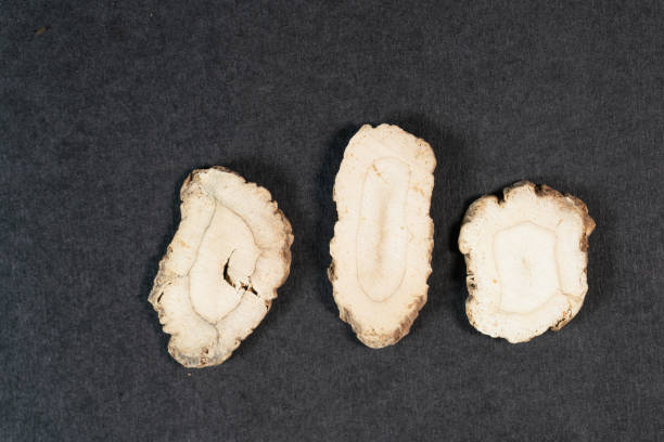 istock chinese medicine angelica root on black background 1456112041
