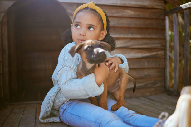 menina, abrigo de animais e abraço de cachorro, amor e cuidado enquanto pensa em adoção. animais de estimação, caridade e criança abraçando, abraçando ou abraçando com filhotes adotivos, criando laços e contemplando apoio para animais. - dog multi ethnic group people one person - fotografias e filmes do acervo