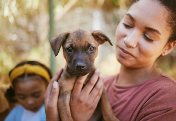 養子縁組、生活、動物保護施設による絆を愛する子犬を抱く犬、女性、手。ペットの世話や家のためのサポート、信頼、愛情のために小さな子犬を手に運ぶ幸せな女性 - ペットの里親 ストックフォトと画像
