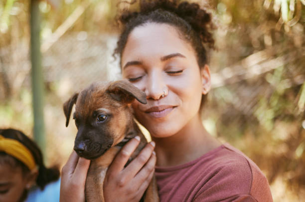 abrigo de amor, cão e animal com uma mulher negra abraçando um animal de estimação adotivo enquanto estava em um abrigo para adotar um animal de resgate. voluntário, caridade e adoção com uma fêmea segurando um filhote de cachorro bonito na libra - dog multi ethnic group people one person - fotografias e filmes do acervo