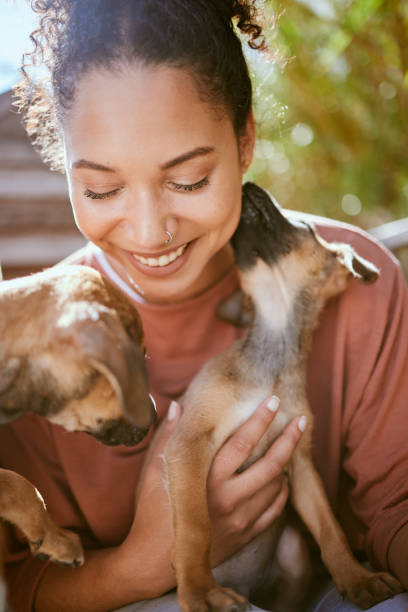 Happy, care and girl playing with dogs at animal adoption center with excited smile holding puppy. Happiness, black woman and loyalty of foster pets with caring lick for bond and trust. feliz, cariñosa y niña jugando con perros en el centro de adopción de animales con sonrisa emocionada sosteniendo al cachorro. la felicidad, la mujer negra y la lealtad de las mascotas adoptivas con cuidado lamen el vínculo y la confianza.