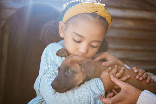 Dog, kiss and child outdoor with a love hug, care and animal friend care for new family puppy. Pet, girl and happiness together of a relax animal and kid hugging with parent help feeling calm in sun