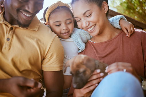 Black family dog, child and parents with pet, new puppy or black people play with happy family animal. Love support, happiness and owner pet care from kid girl, father and mother in outdoor backyard