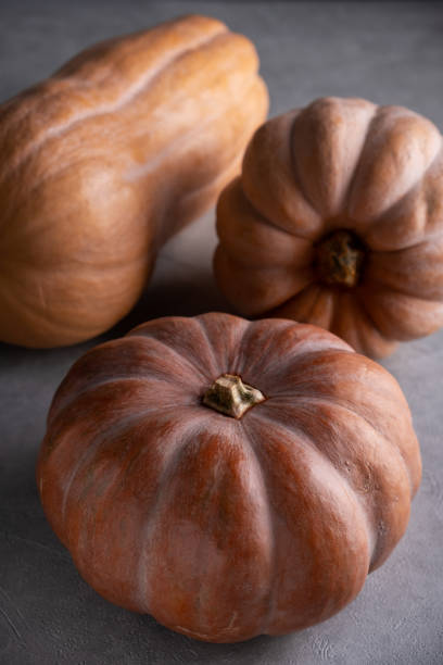 istock Three ripe pumpkins on a gray background. 1456114876