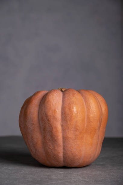 istock Ripe beautiful pumpkin on a gray background 1456114899