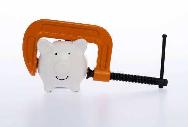 istock Orange clamp with a piggy bank 1456117493