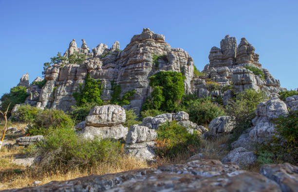 istock Karstic rock formations at Torcal de Antequera 1456118618