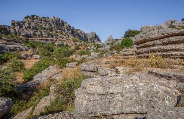 istock Karstic rock formations at Torcal de Antequera 1456118653