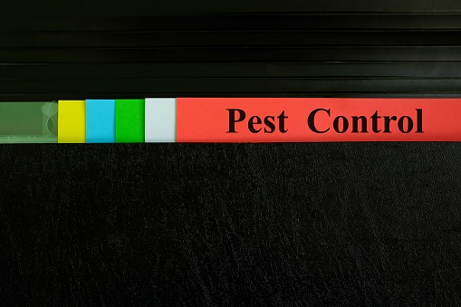 Pest control file record in black binder folder. Pest management in company concept.