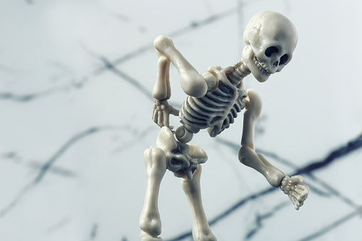 Anatomy, Biology, Bone, Human Skeleton,