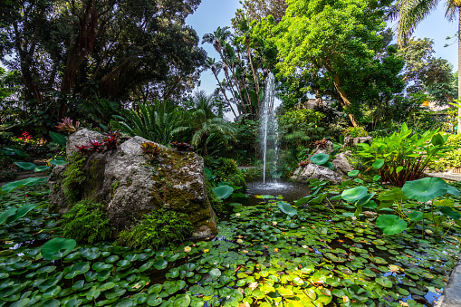 View of artificial river passing along blossoming trees in the Turia Garden in Valencia, Spain