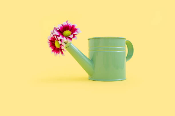 istock Closeup shot of watering can 1456126501